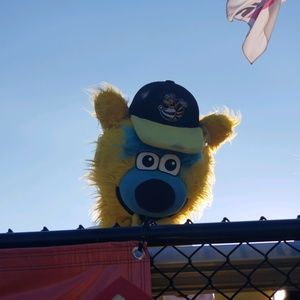 Meet your Posher, Maggie